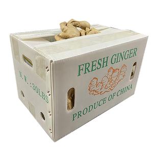 Caja de almacenamiento de plástico corrugado para verduras y frutas, Material PP para maíz, espárragos, okra, jengibre, repollo, embalaje - Product Image 5