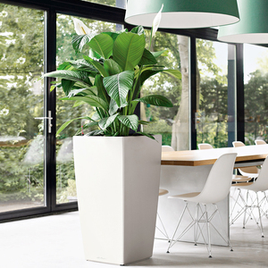 Maceta rectangular <span class=keywords><strong>de</strong></span> riego automático para balcón, maceta <span class=keywords><strong>de</strong></span> fresa, alféizar <span class=keywords><strong>de</strong></span> ventana, tira larga, maceta, caja <span class=keywords><strong>de</strong></span> plantación <span class=keywords><strong>de</strong></span> verduras - Product Image 5