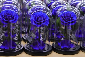 Nuovo prodotto lancio all'ingrosso di <span class=keywords><strong>rose</strong></span> conservate per regali di natale scatola regalo di fiori caldi con cupola in vetro acrilico - Product Image 6