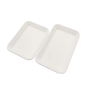 Assiettes et bols biodégradables en feuilles d'arec légères |   Vaisselle jetable de style traditionnel |   Écologique, 200 unités, usage quotidien - Product Image 2