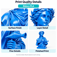 Filament d'imprimante 3D PLA monocolore Ridory 1,75 mm 1 kg par bobine pour imprimantes 3D Bambu Lab et Creality Couleurs personnalisées