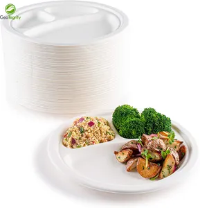 Wholesale Biodegradable Sugar cane Bagasse 3 compartment Plate Paper Bagass