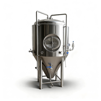 Cuve de filtration et de conditionnement post-fermentation pour bière