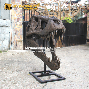 Crâne de Tyrannosaurus Rex réaliste fait main pour l'exposition du Musée d'histoire <span class=keywords><strong>naturelle</strong></span> My Dino - Product Image 3