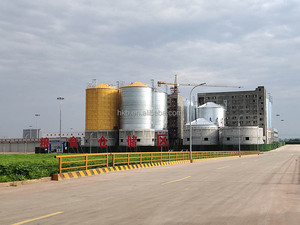 500-10000 tấn công suất có sẵn thép hạt Storage <span class=keywords><strong>Silo</strong></span> cho trang trại/chăn nuôi Thức Ăn Nhà máy - Product Image 3