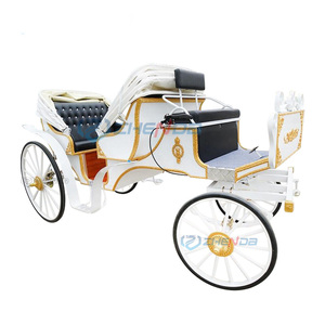 Carroza Turística Blanca de Estilo Simple/Carroza Turística Eléctrica Familiar en Oferta - Product Image 2