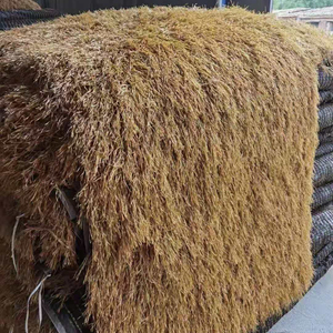 In Stock Beach Umbrella Thatched House Proof Hut Grass <strong>Banana</strong> Leaf Roofing Fiber Thatch - Product Image 2