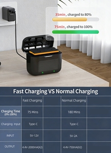 Boîtier <span class=keywords><strong>de</strong></span> charge rapide USB Type C pour Insta360 X3, chargeur <span class=keywords><strong>de</strong></span> batterie, boîte <span class=keywords><strong>de</strong></span> <span class=keywords><strong>rangement</strong></span>, accessoire pour caméra d'<span class=keywords><strong>action</strong></span> - Product Image 4
