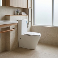 WC en céramique deux pièces MWD Watermark Tornado Flush S-Trap 450 mm, installation facile, à poser contre le mur, pour projets hôteliers, vente en gros