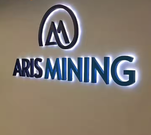 Пользовательский 3D светодиодный знак световые буквы с подсветкой для строительной витрины для магазинов и бизнес-зданий - Product Image 6