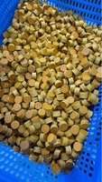 Pointes de queue de billard en cuir multicouche 6 couches, 11mm/14mm, 50 pièces/boîte, conception anti-champignon durable, directement de l'usine