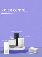 Module de variateur d'intensité lumineuse LED Tuya, variateur intelligent Zigbee à 2 voies pour Alexa Google Home