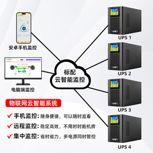Shan Shuo Ups 1000va 800w en ligne avec batterie Li Fe Po4 pour équipement médical et instruments de précision - Product Image 4