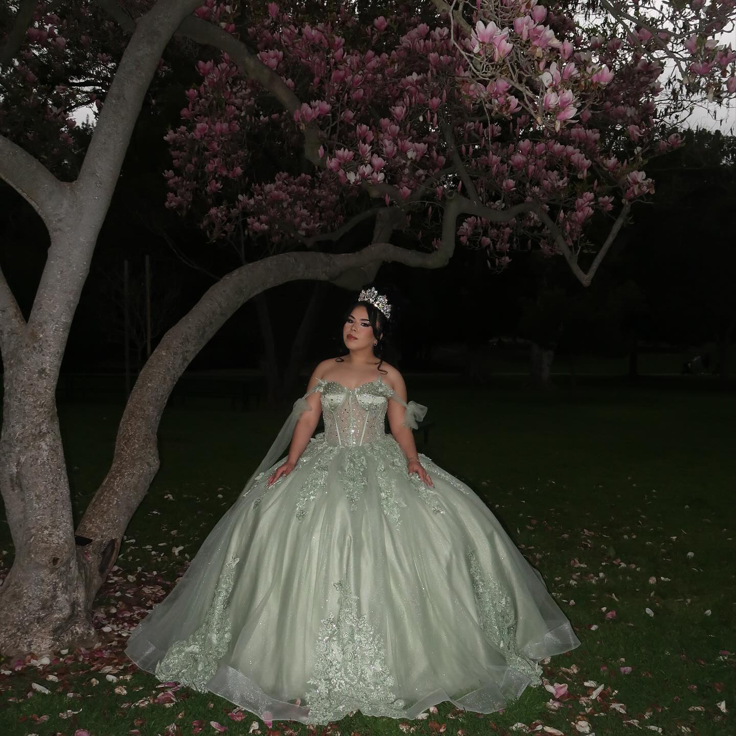 Mily Bridal MQ091 - Mint Green Ball Gown for Quinceanera