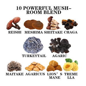 किन्शतंंग कार्बनिक 10 में 1 पूरक शिटक कॉर्डिइसेप्स शेर की मैनी रीशी टर्की पूंछ मशरूम मिश्रण निकालने कैप्सूल - Product Image 4
