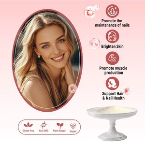 Eklem Sağlığı ve Tırnak Bakımı için Yüksek Kaliteli Tip II Kolajenin Fabrikadan Doğrudan Satışı - Product Image 4