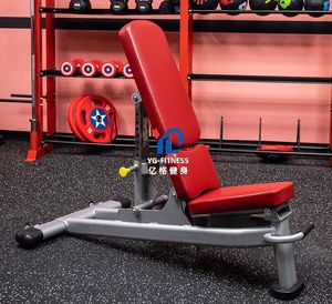 YG-7026 <span class=keywords><strong>Banc</strong></span> <span class=keywords><strong>de</strong></span> <span class=keywords><strong>musculation</strong></span> isolaté en acier à charge par plaques, multi-ajustable <span class=keywords><strong>pour</strong></span> la <span class=keywords><strong>musculation</strong></span> - Product Image 5