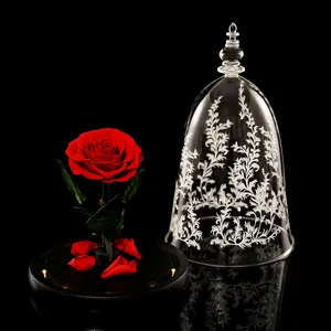 Beauty And The Beast Rose Real Preserved Rose Flower In Glass Dome With Led Light Gift For Valentine's Day