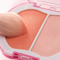 ODM Private Label Apple Blush Compact Poudre Lisse et Estompable Éclat Radieux Application Facile Maquillage pour Filles E-commerce