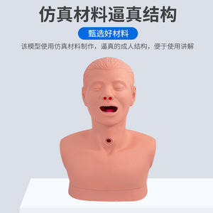 Modèle d'intubation trachéostomique, modèle pédagogique médical, modèle avancé de soins de trachéostomie pour adultes. - Product Image 4