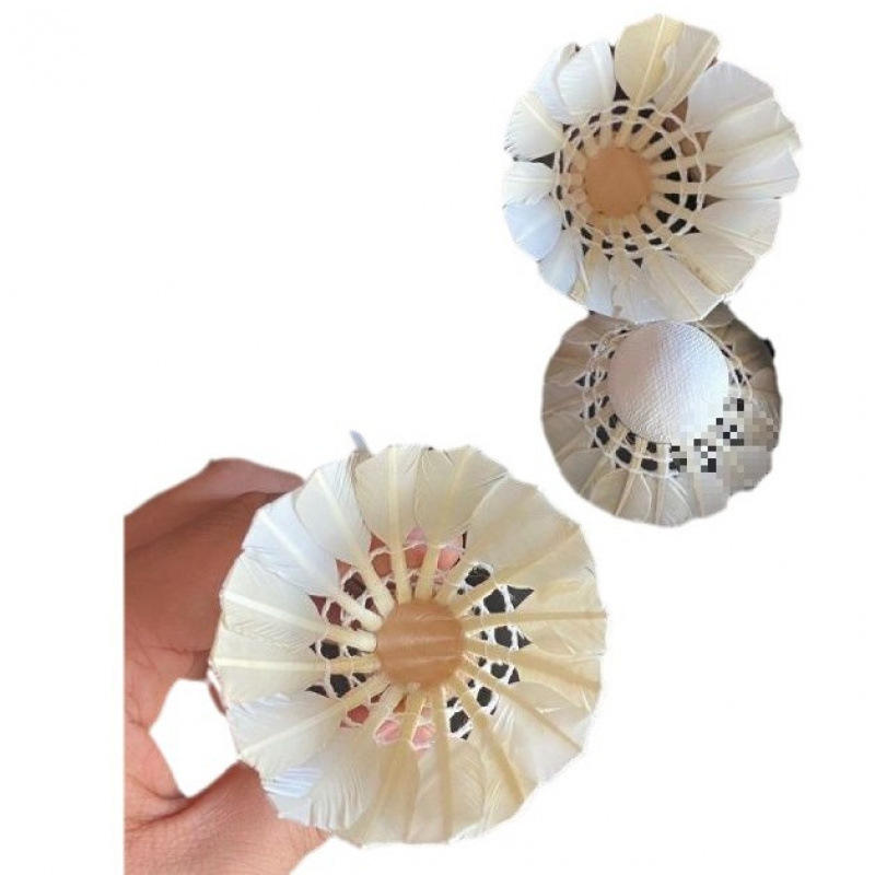 Grade i noir plume de canard/pas de badminton standard 12 pack