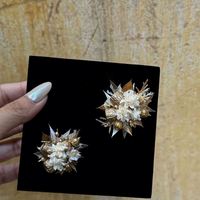 Geconserveerde natuurlijke rozenkoppen, langdurig houdbaar echt rozenmateriaal voor cadeaudozen, huisdecoratie en DIY-arrangementen