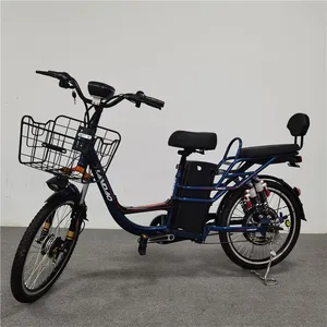 电动自行车家庭食品货物配送电子货物电动自行车/经典复古Ebike bicleta城市货物E自行车待售