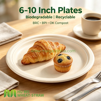 Assiette ronde jetable en bagasse de canne à sucre sans PFAS, 6 pouces, compostable, robuste, OEM