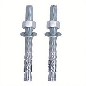 Échantillon Gratuit Mondial – Boulon d'Ancre à Coin en Acier Inoxydable 304 316, Boulon d'Expansion M12 M14 M16 - Product Image 2