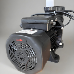 เครื่องสูบน้ำในสระว่ายน้ำรุ่น <span class=keywords><strong>Spp</strong></span> 0.75hp ใหม่ล่าสุด - Product Image 1