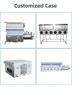 Proveedor de equipos de laboratorio MITR Cámara de vacío de guantera de operación de laboratorio de acero inoxidable - Product Image 2