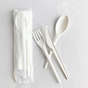 Vente chaude 6.5 POUCES <span class=keywords><strong>Biodégradable</strong></span> Jetable Cuillère Fourchette CPLA Couverts Kits - Product Image 1