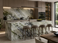 Dalles et carreaux de marbre vert chinois de l'Antiquité pour tables basses, buffets, plans de toilette, murs de douche, rebords de fenêtre et encadrements de portes