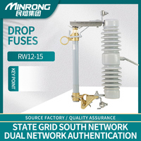 RW12-12 Fusible de coupure céramique extérieur haute tension 12 kV, capacité de coupure 20 kA, fonction d'indication pour transformateur de puissance