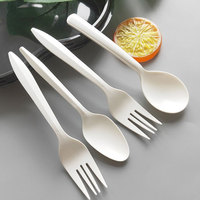 Couverts jetables biodégradables compostables en CPLA emballés individuellement pour les fêtes - comprend des fourchettes et des cuillères
