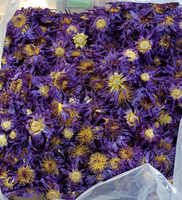 Fleurs de lotus bleues séchées brutes, lys bleus égyptiens, fleurs entières pour formule de thé personnalisée