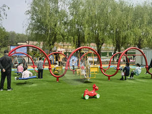 LINO Most Popular Stainless Steel & Nylon Outdoor Garden <b>Circle</b> <b>Swings</b> Set for Children & Adults 100-500kg Capacity - Product Image 5