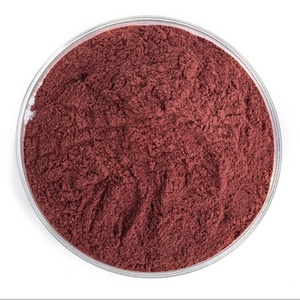 Pas cher Nano Fe2O3 Granules Gamma-Phase 20nm Nano Oxyde Ferrique Pulver pour Revêtement - Product Image 6
