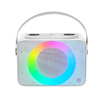 Sistema de Karaoke Portátil Todo en Uno con Altavoz, Dos Micrófonos Inalámbricos, Luces RGB, Sonido HIFI, para Fiestas en Casa, Entretenimiento Familiar y Computadora