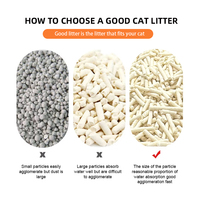 Litière pour chat écologique, hautement absorbante, anti-odeurs, 99 % sans poussière, agglomération rapide, antibactérienne, jetable dans les toilettes, anti-poussière