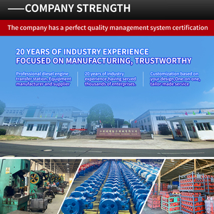 OEM Diesel Machinery <strong>Engine</strong> <strong>Supplier</strong> with Technical Support - Product Image 5