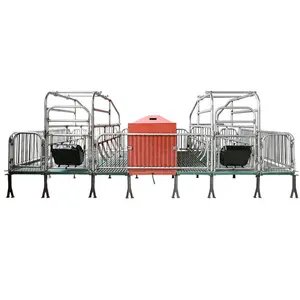 Farm Galvanized Cage Pig Farrowing Crate Breeding Equipment With Automatic Feed Drink