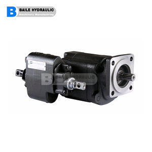 Паркер Hannifin <span class=keywords><strong>C102</strong></span> <span class=keywords><strong>C101</strong></span> <span class=keywords><strong>G101</strong></span> <span class=keywords><strong>G102</strong></span> серии комбинированный шестеренный насос - Product Image 3