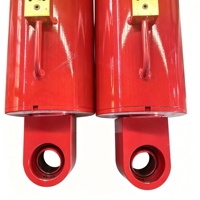Cylindres hydrauliques à double action en acier chromé dur, haute tonnage, durables et abordables, fabriqués en usine, garantie 1 an