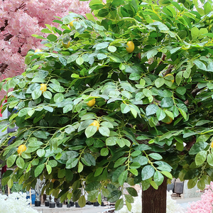 Decoraciones Temáticas de Árbol de Limón Artificial, Rama de Limón Artificial, Decoraciones para Fiestas, Árbol de Limón Pequeño - Product Image 4