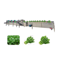 Commerciële fruitwas- en drooglijn, automatische salade reinigings- en verwerkingslijn, industriële bubbelwasmachine met luchtdroger