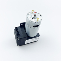 Penjualan laris 20L pompa vakum udara mikro elektrik senyap Mini 58psi 20L/min inflasi 6v 12v 24v pilihan daya Mini efisiensi tinggi