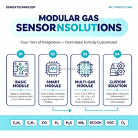 Module de capteur de gaz calibré en usine, sortie numérique personnalisée, stable et précise pour détecteur de gaz OEM ODM