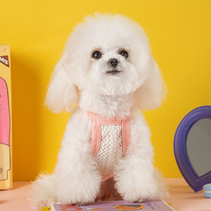 Tenue d'été pour chien, rose et jaune, avec nœud en forme de cœur, gilet en maille respirante pour petits et moyens chiens, Teddy Bichon Frise, vêtements de printemps et d'été - Product Image 2