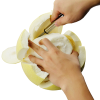 Ouvre-pamplemousse, éplucheurs et zesteurs Kangluo KF015 en acier inoxydable écologique avec poignée en PP pour couper les légumes – Vente directe usine